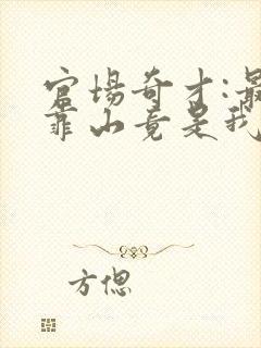 官场奇才:最强靠山竟是我自己》