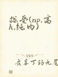 总受(np,高h,纯肉)封面