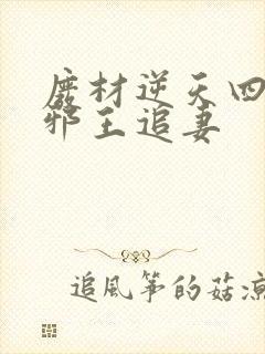 废材逆天四小姐邪王追妻