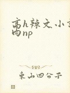 高h辣文小说纯肉np