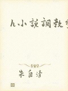 h小说调教双性封面