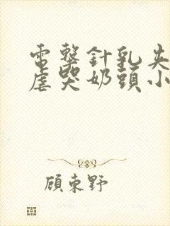 电击针乳夹虐奶虐哭奶头小说