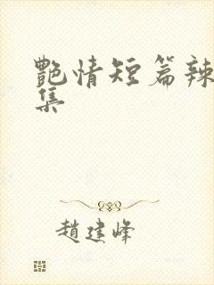 艳情短篇辣文合集