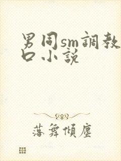 男同sm调教重口小说
