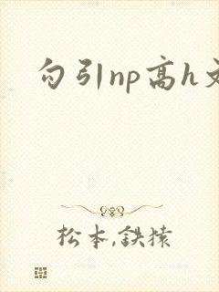 勾引np高h文