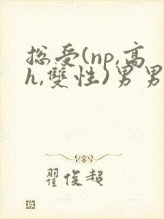 总受(np,高h,双性)男男