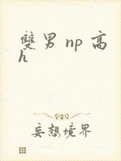 双男 np 高h封面