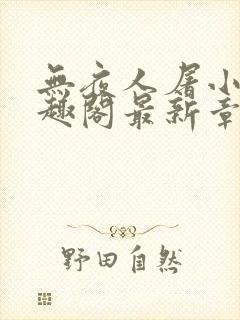 无夜人屠小说笔趣阁最新章节列表