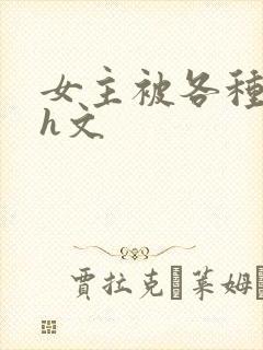 女主被各种调教h文