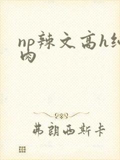 np辣文高h纯肉