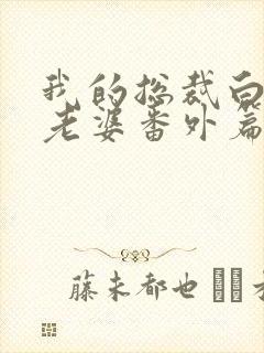 我的总裁白富美老婆番外篇