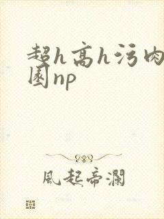 超h高h污肉校园np