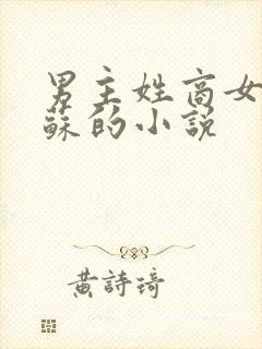 男主姓商女主姓苏的小说