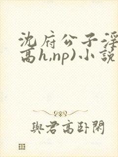 沈府公子淫史(高h,np)小说