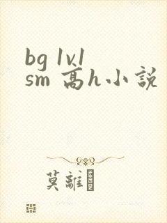 bg 1v1 sm 高h小说