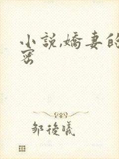 小说,娇妻的秘密封面