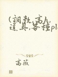 (调教,高h,道具,各种play)文