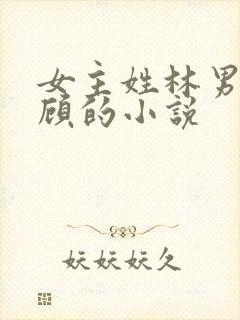 女主姓林男主姓顾的小说