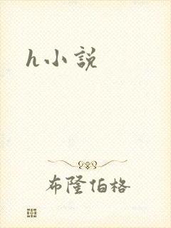 h小说