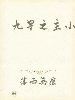 九星之主小说