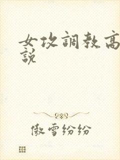 女攻调教高h小说封面