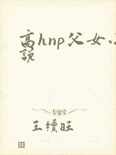 高hnp父女小说封面