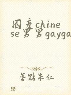 国产chinese男男gaygay网站网约封面