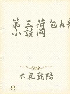 第三荷包h辣文小说网