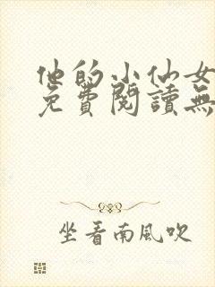 他的小仙女全文免费阅读无弹窗封面