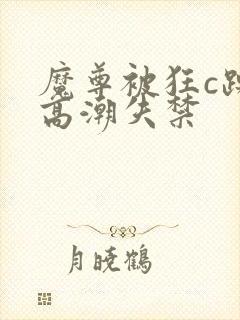 魔尊被狂c躁到高潮失禁