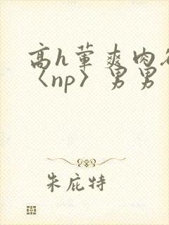 高h荤爽肉欲文〈np〉男男