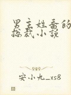 男主姓乔的霸道总裁小说