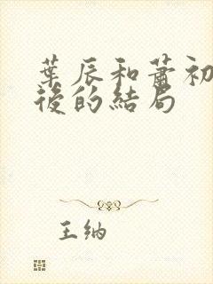 叶辰和萧初然最后的结局封面