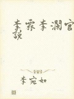 李霖李澜官场小说封面