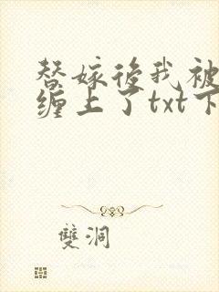 替嫁后我被大佬缠上了txt下载封面