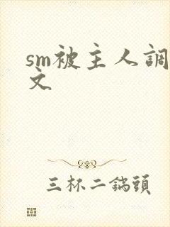 sm被主人调教文封面