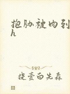 抱胁被肉到失禁h