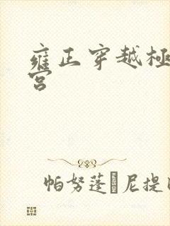 雍正穿越极品后宫