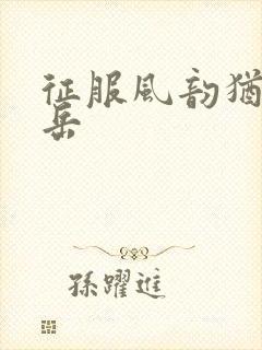 征服风韵犹存的岳封面