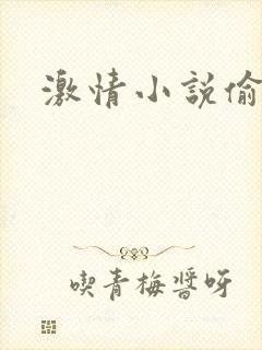 激情小说偷公媳