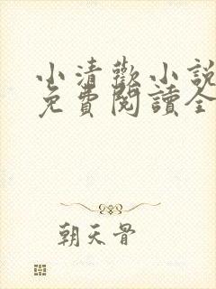 小清欢小说全文免费阅读全文