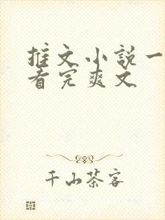 推文小说一口气看完爽文