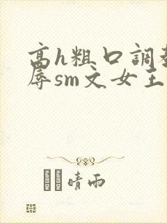 高h粗口调教羞辱sm文女王封面