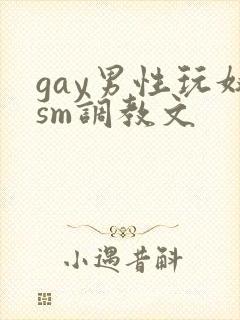 gay男性玩奴sm调教文封面