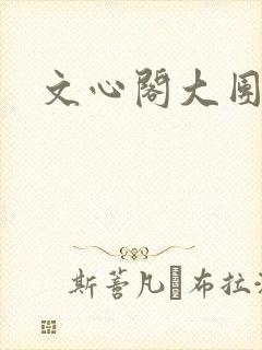 文心阁大团结封面