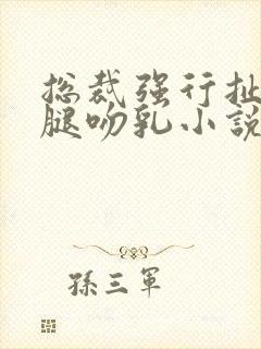 总裁强行扯开双腿吻乳小说