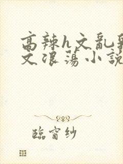 高辣h文乱乳h文浪荡小说苏卿封面