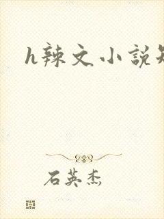 h辣文小说短篇