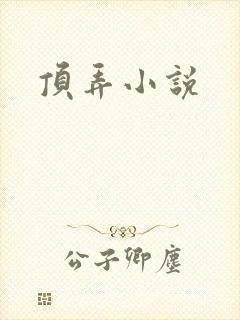 顶弄小说