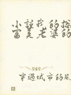 小说我的总裁白富美老婆的免费阅读